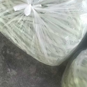 白条豆角
