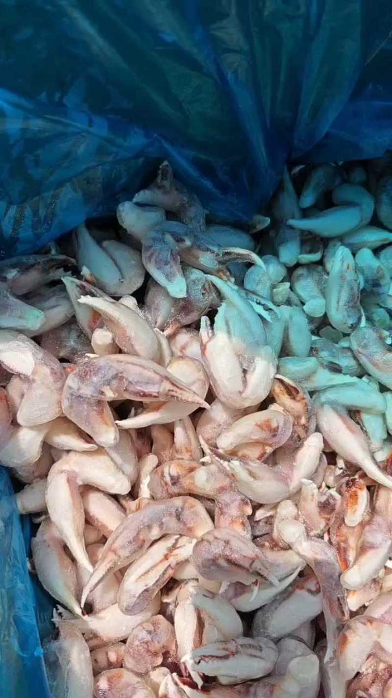 沙蟹蟹钳子，质量非常好，货源充足，可视频看货