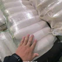 陕西榆林白萝卜大量有货，新鲜量大，长期供应，条形好