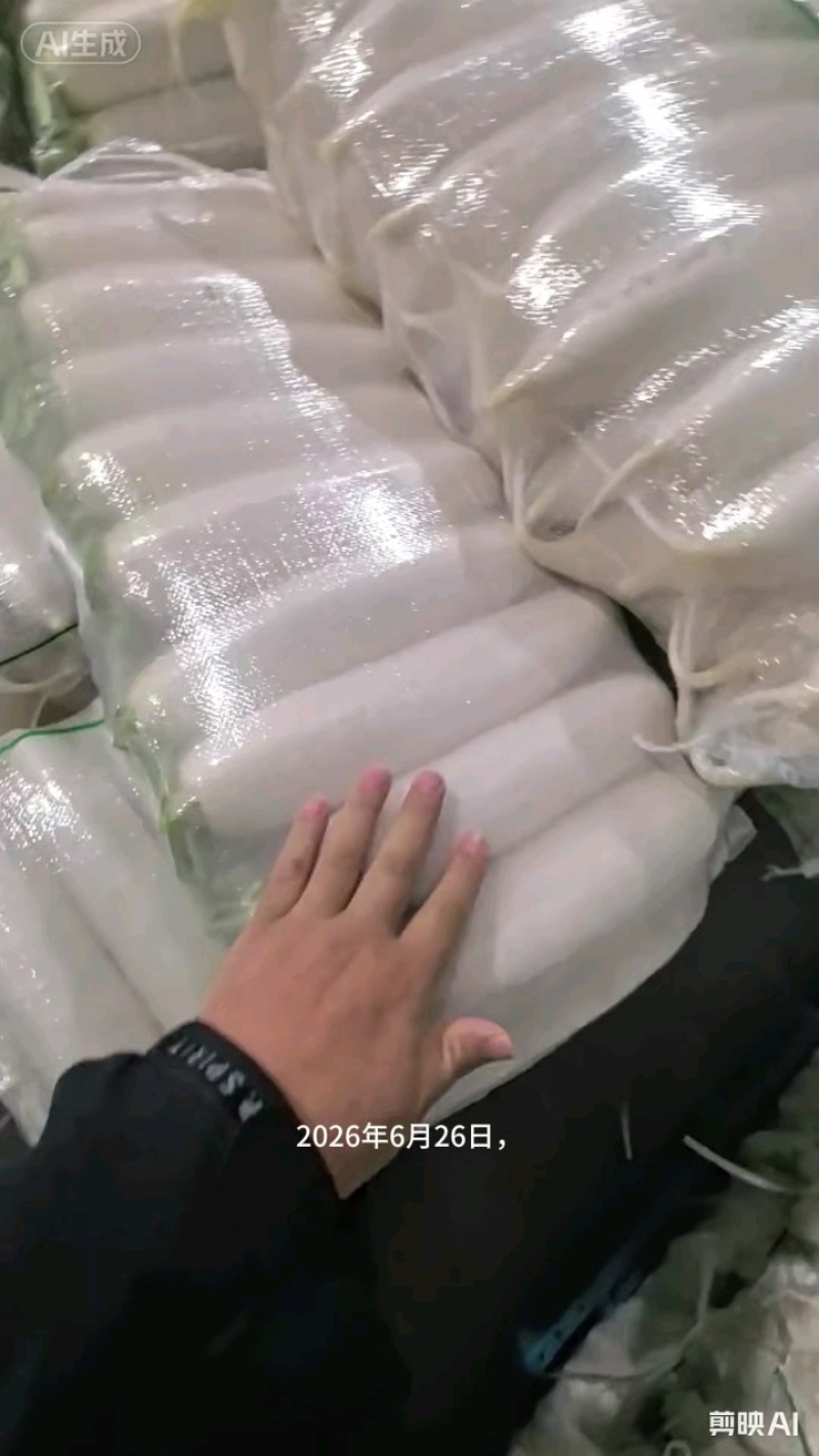 陕西榆林白萝卜大量有货，新鲜量大，长期供应，条形好