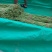 【长豆角】豇豆，可加长途发货。可本地腌制。保证质量