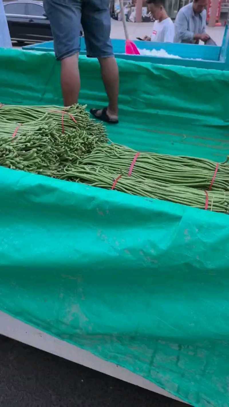 【长豆角】豇豆，可加长途发货。可本地腌制。保证质量