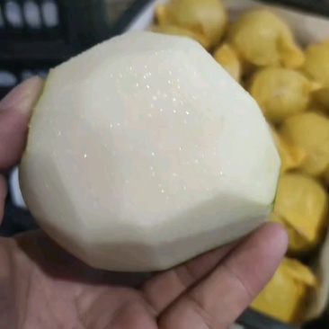 精品苏翠一号，糖分高化渣，全国代发