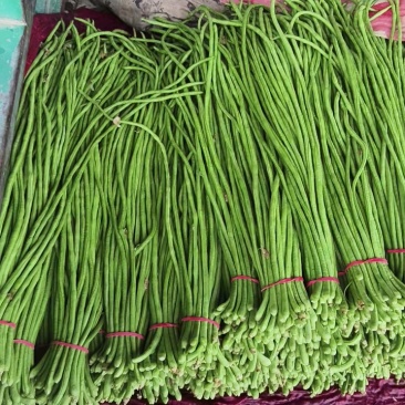 本地长豆角青条豆角大量有货,质量保证有需要的联系