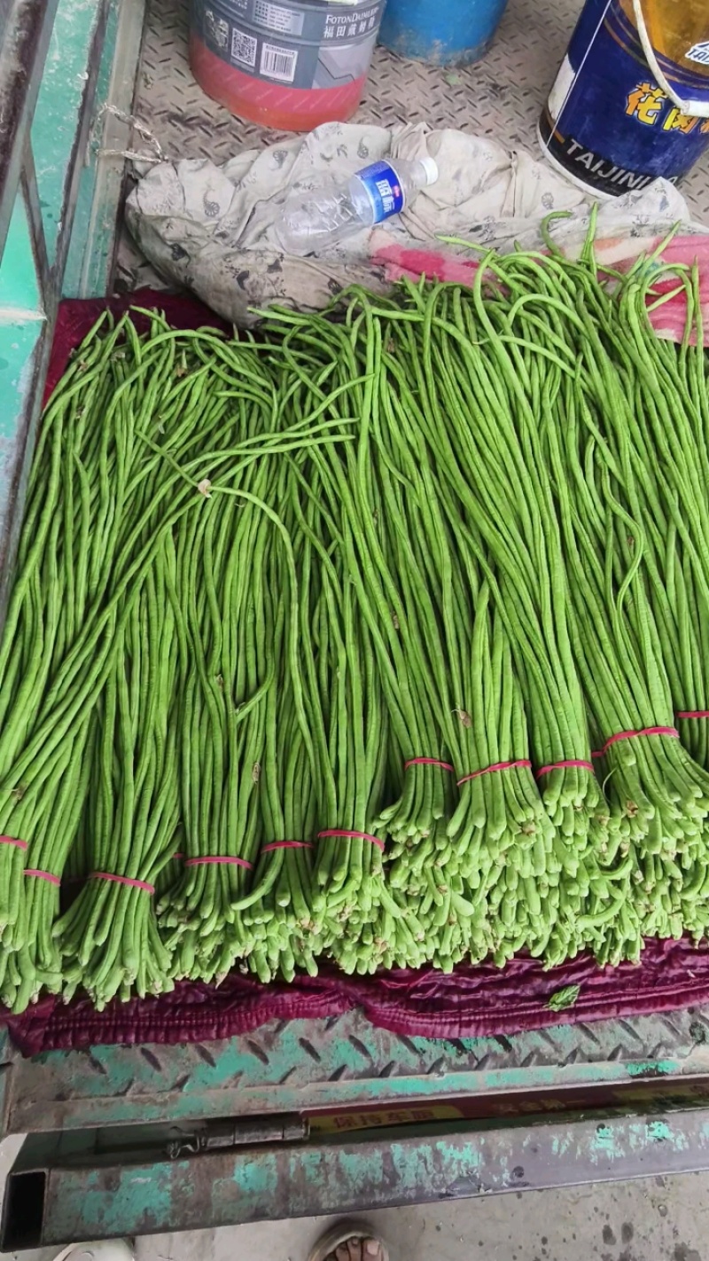 本地长豆角青条豆角大量有货，质量保证有需要的联系