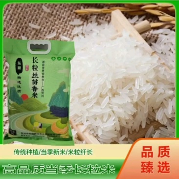 油粘米新米，10斤/袋真空包装，可定制包装，常年供应
