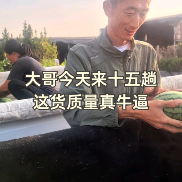 山东产区，全美2k小西瓜，电商西瓜，，潍坊西瓜，寒亭西瓜，，