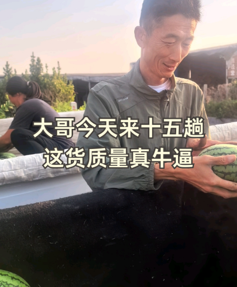 山东产区，全美2k小西瓜，电商西瓜，，潍坊西瓜，寒亭西瓜，，