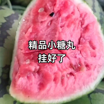 精品砀山小糖丸2k西瓜，大量上市，皮薄口感好，货源充足！