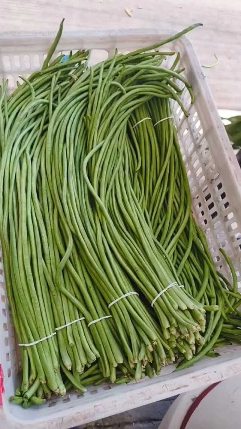 长豆角/豇豆对接商超批发市场品质保证欢迎咨询