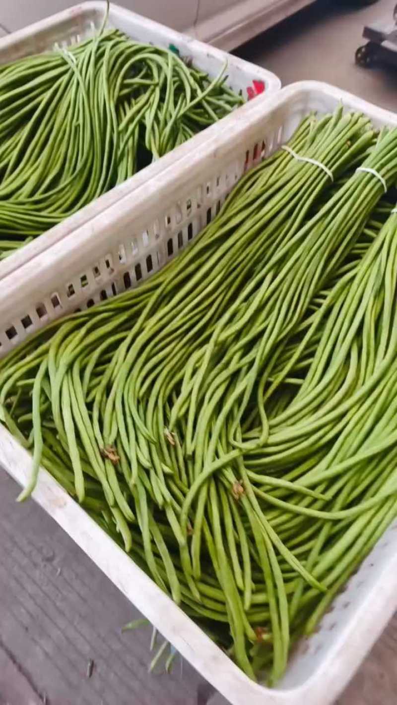 长豆角/豇豆对接商超批发市场品质保证欢迎咨询