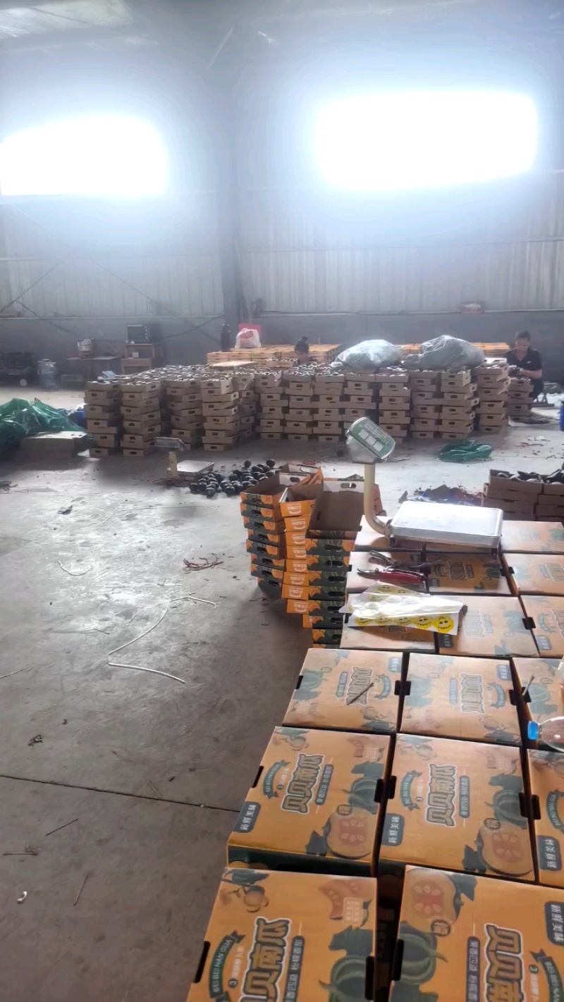 贝贝南瓜礼盒，专做商超，精品贝贝，社区团购礼盒专业一件代