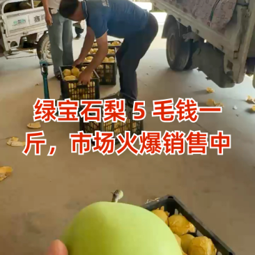绿宝石梨5毛钱一斤，市场火爆销售中
