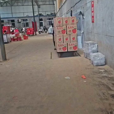 万荣纸加膜红富士苹果个大色正/日照长温差大口感脆甜。