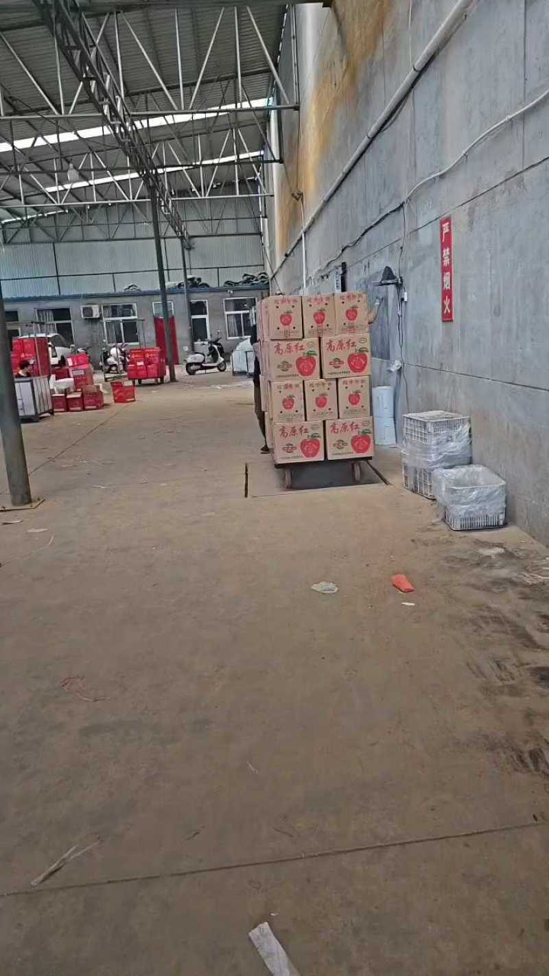 万荣纸加膜红富士苹果个大色正/日照长温差大口感脆甜。
