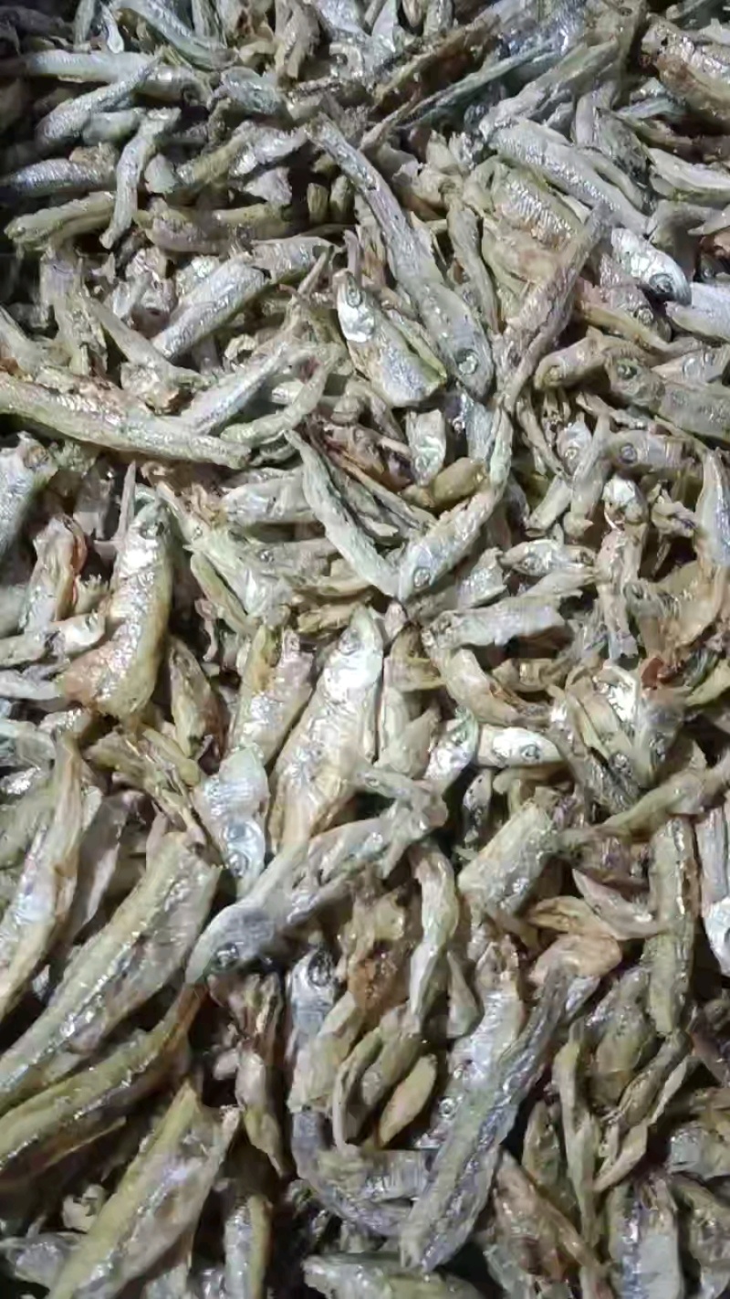 水煮白条