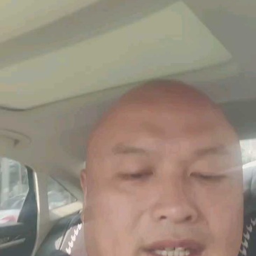 香菜五百亩