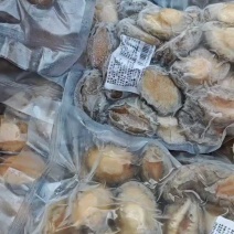 鲍鱼肉