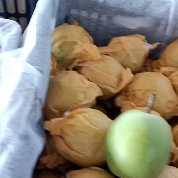 酥脆梨皇冠梨皮薄多汁口感脆甜货源充足产地直发