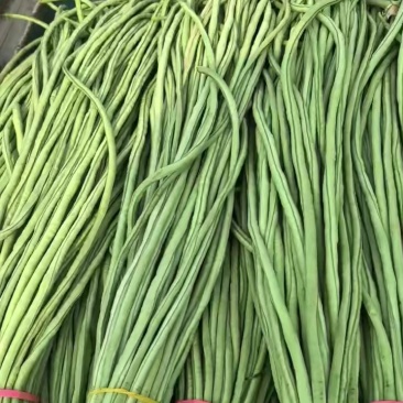 柿子没卖，货干净，拿杆看货