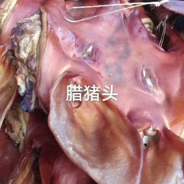 带耳整个半边无耳干度好颜色纯正适合所有人群食用常年批发