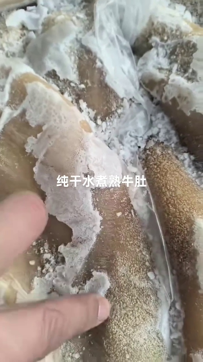 清水煮熟牛肚，纯干不碱发，牛肚火锅，小炒，牛肚汤合适