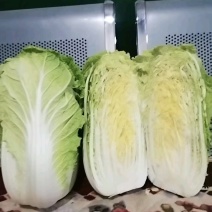 黄心白菜黄心白菜山东枣庄大白菜现摘现发价格实惠欢迎老板联