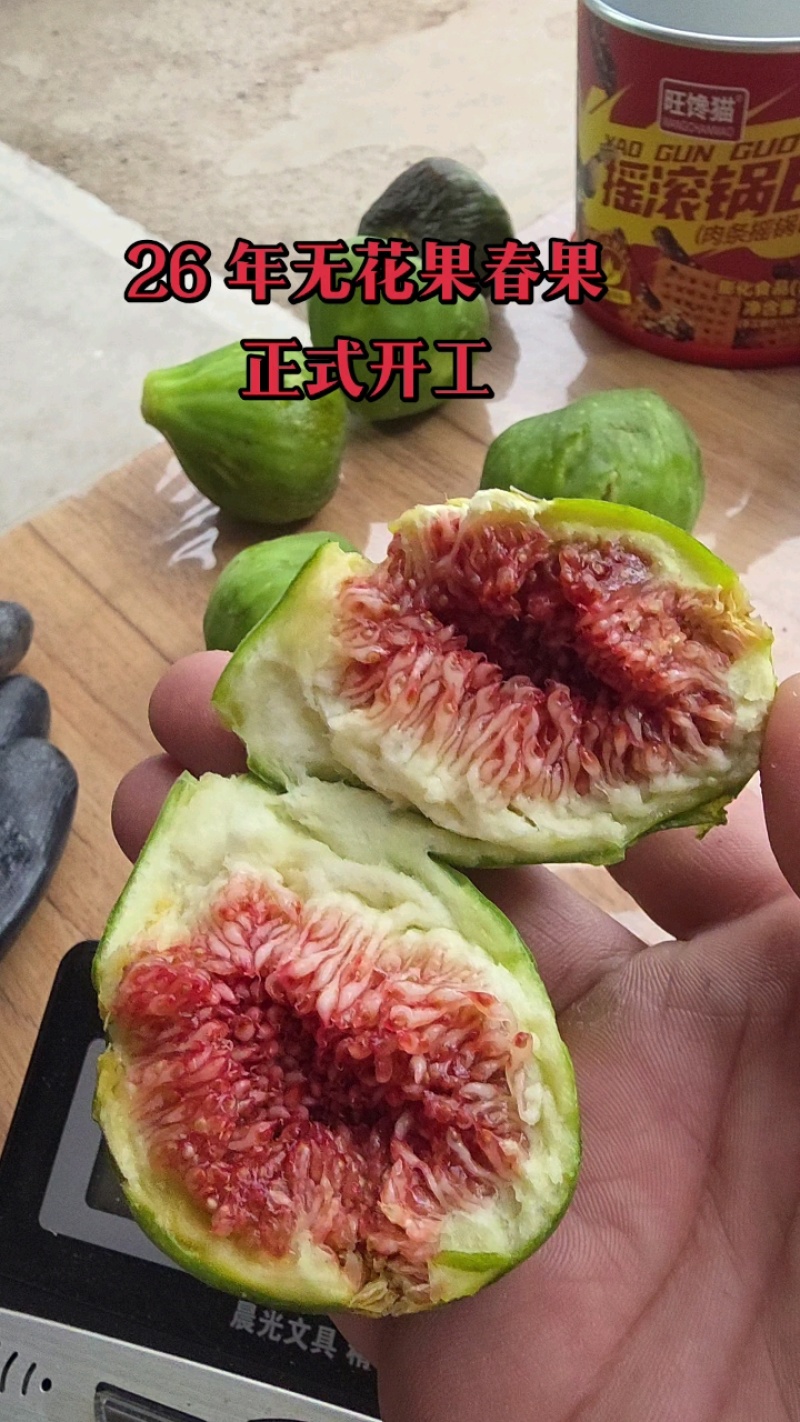 胶东春果布兰瑞克黄皮和青皮无花果鲜果，产地直发！