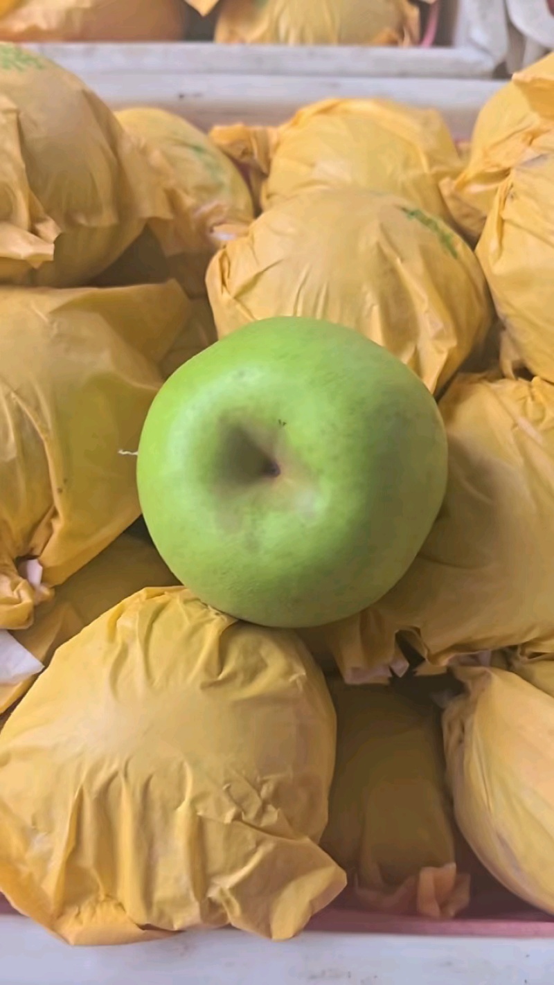 【实力】砀山县翠玉梨，套袋梨，皮薄汁水多可对接各大商超市场
