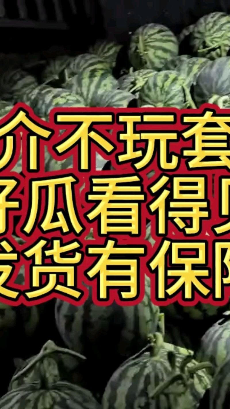 【品种保障】盐城无籽美都西瓜产地直供量大优惠对接全国