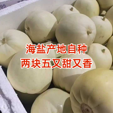 海盐南北湖，沙地货，又甜又香，两块五