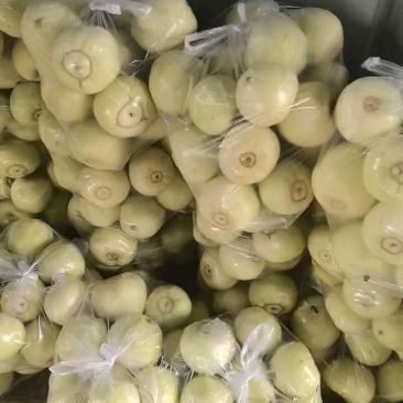 盐城香瓜掉价，精品继续装车