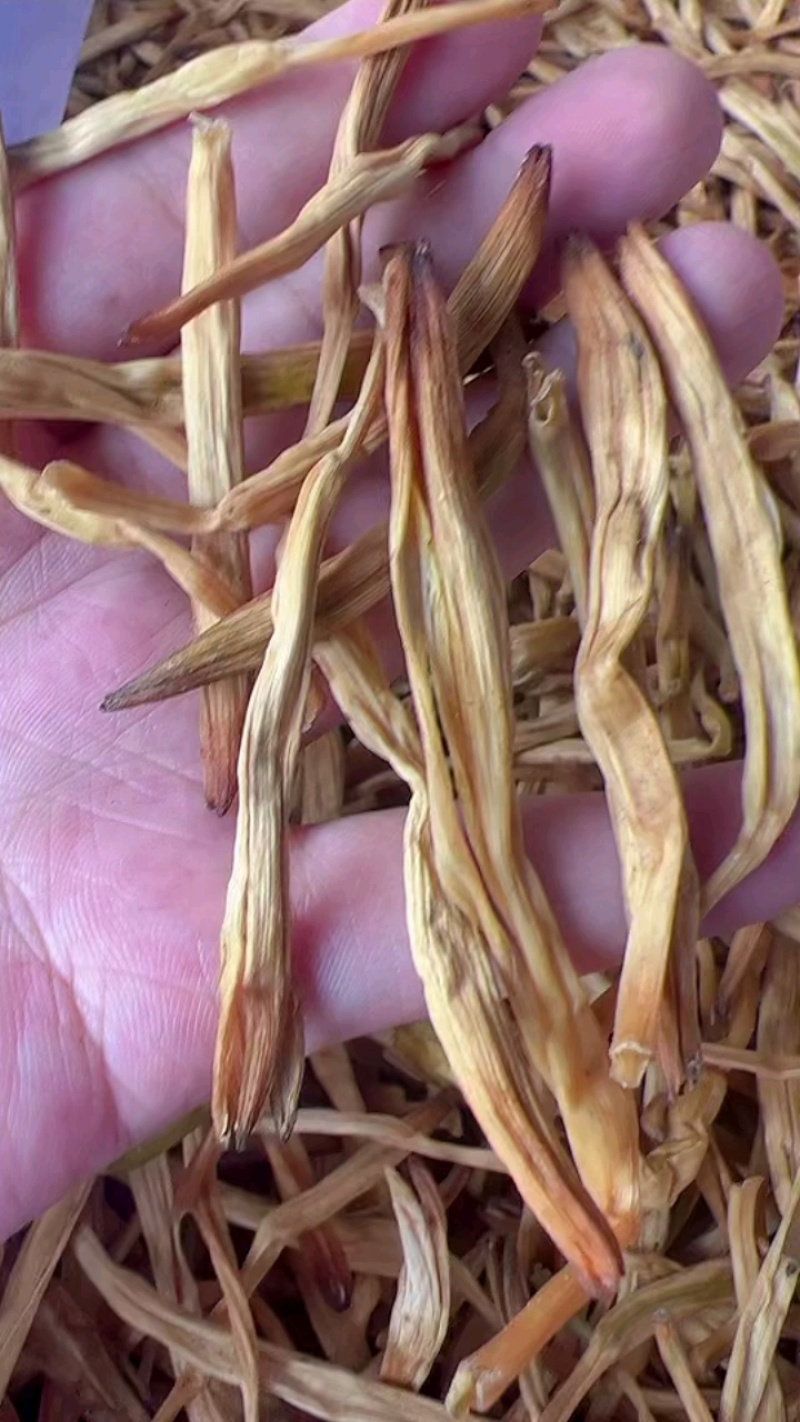 黄花菜地摊电商批发无硫磺黄花菜干金针菜农家特产黄花菜干