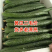 顶花带刺黄瓜上市了有需要的联系