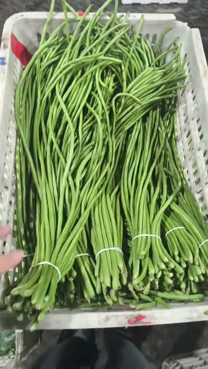 长豆角/豇豆对接商超批发市场品质保证欢迎咨询