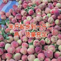 沂蒙山产区早生大红桃大量上市口感脆甜硬度好产地直发