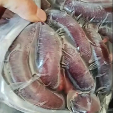 二斤盒装，标准又新鲜，彩袋包装