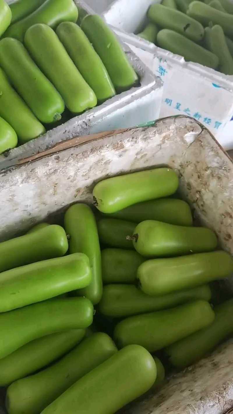 瓠子，瓠瓜，产地一手货源充足量大从优