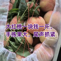 大红桃一块钱一斤，手拣果，尾声抓紧