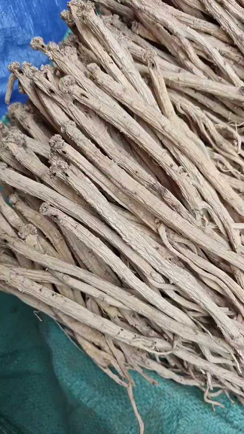 甘肃岷县白条党参***无硫