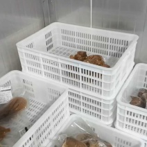 杨先生食品入驻，卤味5斤装，特价