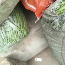 甘肃架豆王豆角大量有货品质优可视频看货