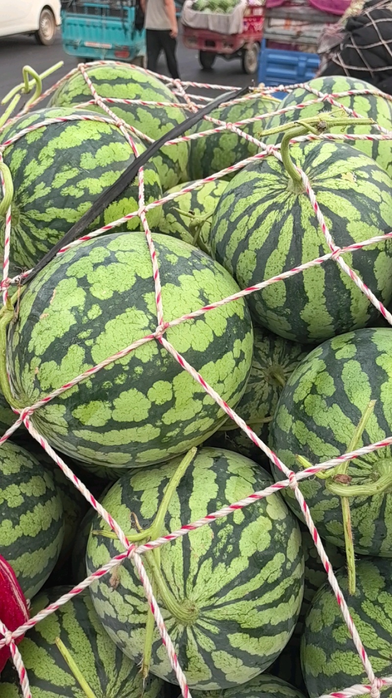【推荐】开封精品美都西瓜产地直发糖度高口感好