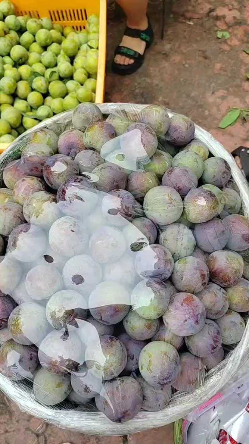 蜜饯李冰脆李纯甜多汁脱骨可视频看货支持线上保障交易