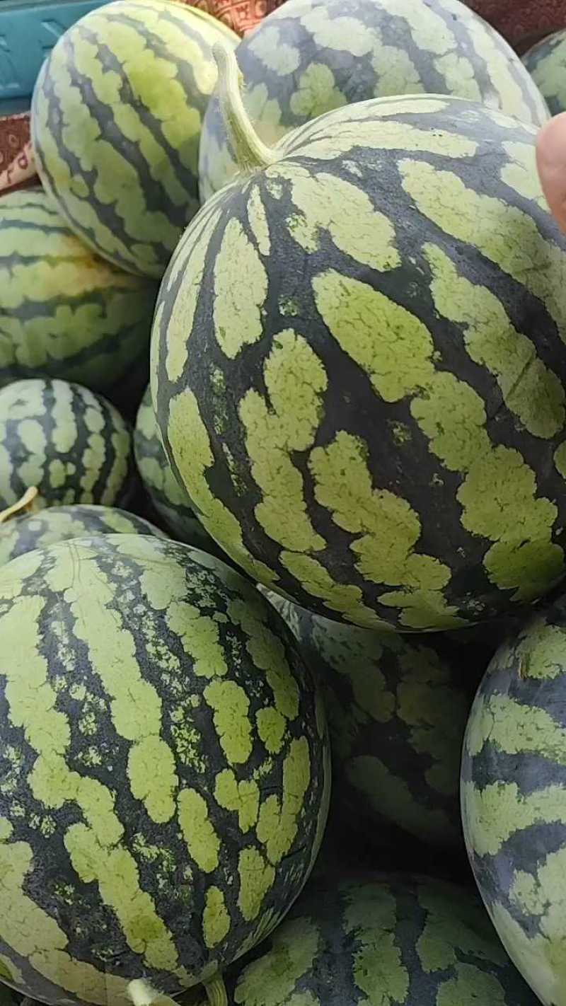 精品美都麒麟西瓜，大量上市，产地直发，货源充足。