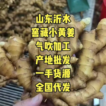 {推荐}小黄姜市场货电商货姜巴生姜一件代发