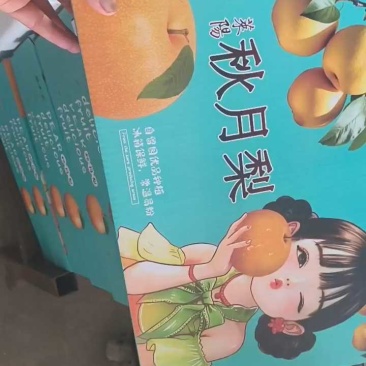 山东莱阳秋月梨脆甜抖音快团团购电商微商直播整车一件代发