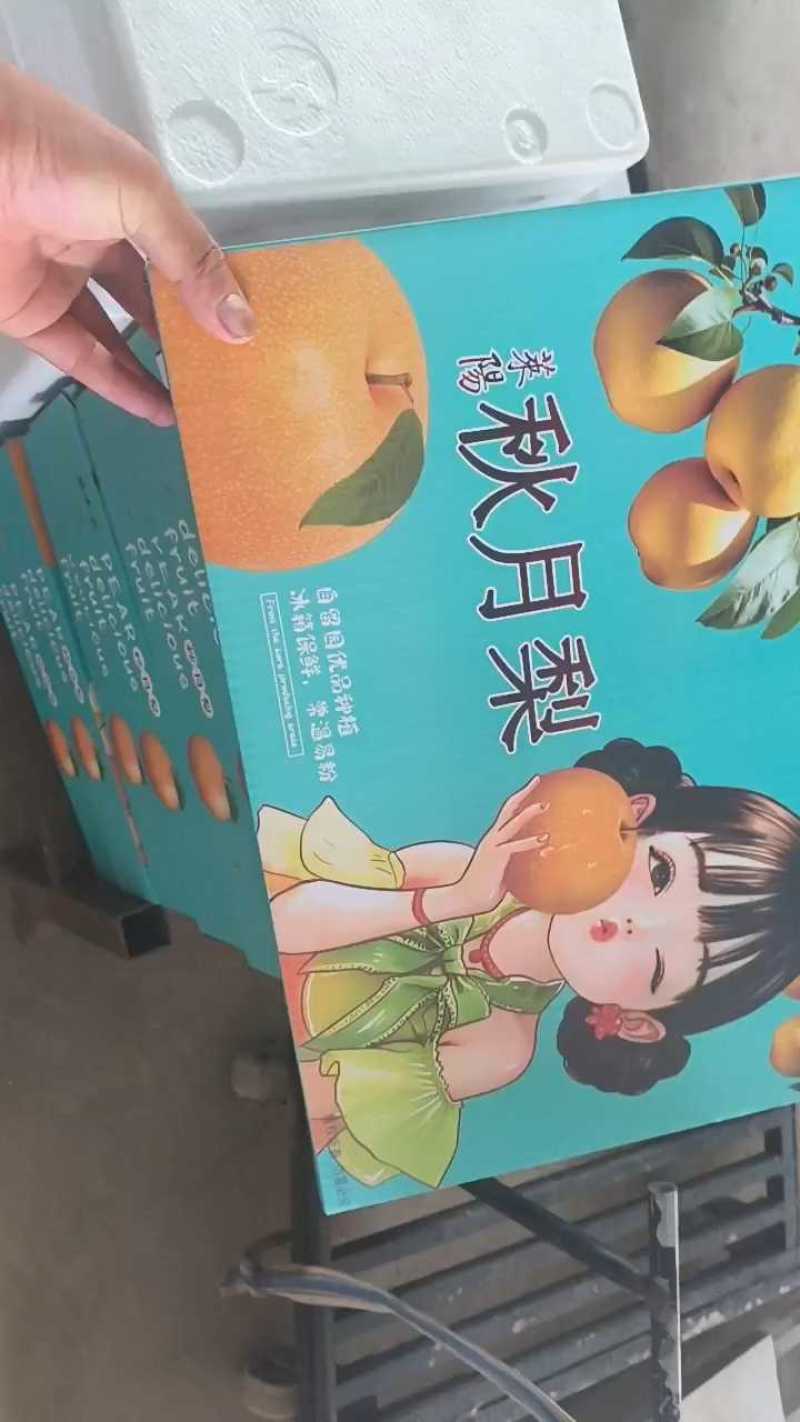 山东莱阳秋月梨脆甜抖音快团团购电商微商直播整车一件代发