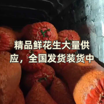 河南开封鲜花生，四粒红鲜花生产地直接发车电商超市市场