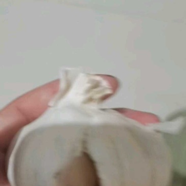 米料脱水蒜的老板几百吨。需要老板联系